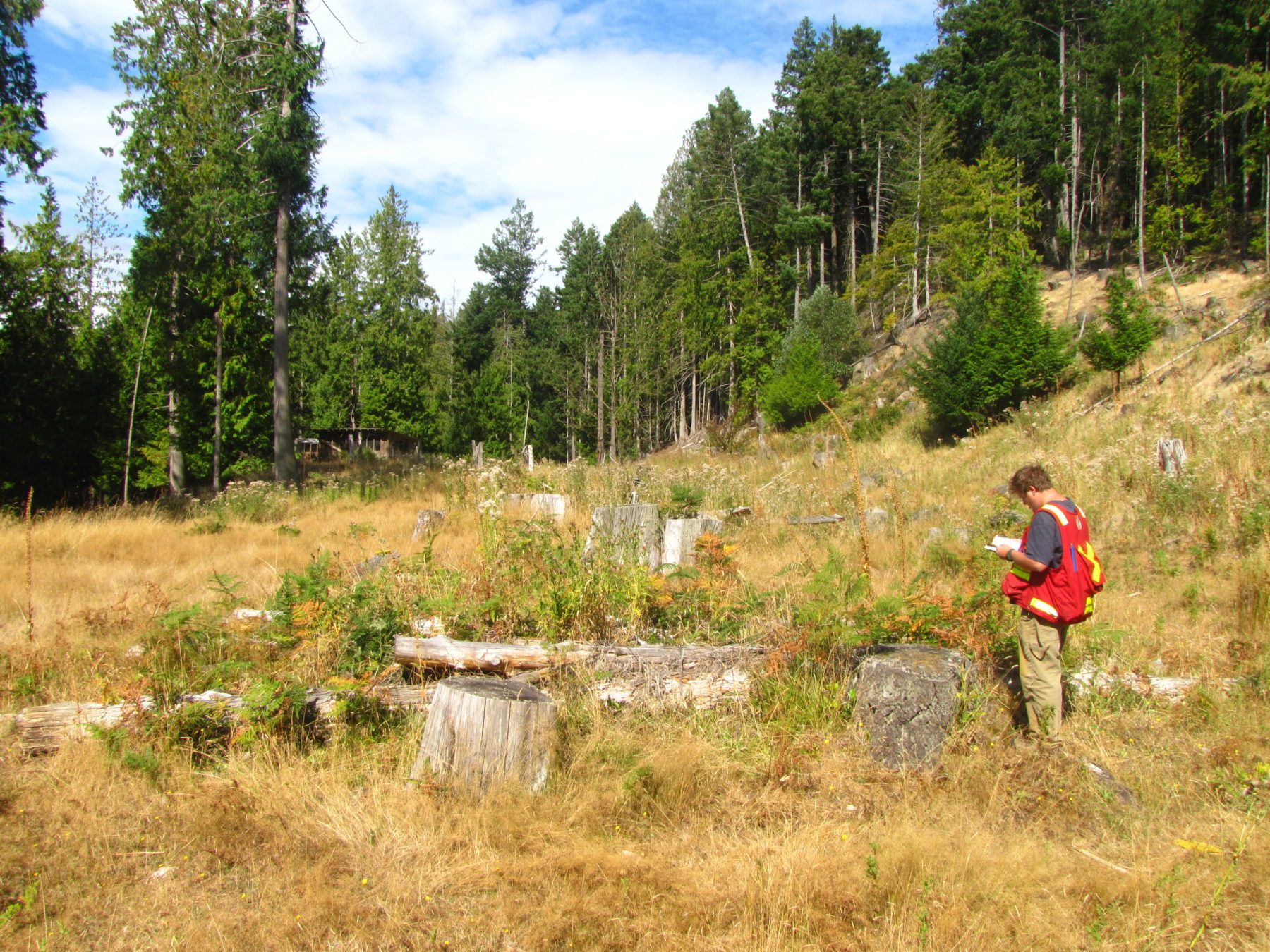 The Story of the Community Food Forest | Galiano Conservancy