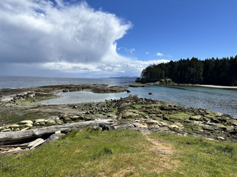 image of Galiano Island shoreline with seaweed and island in background