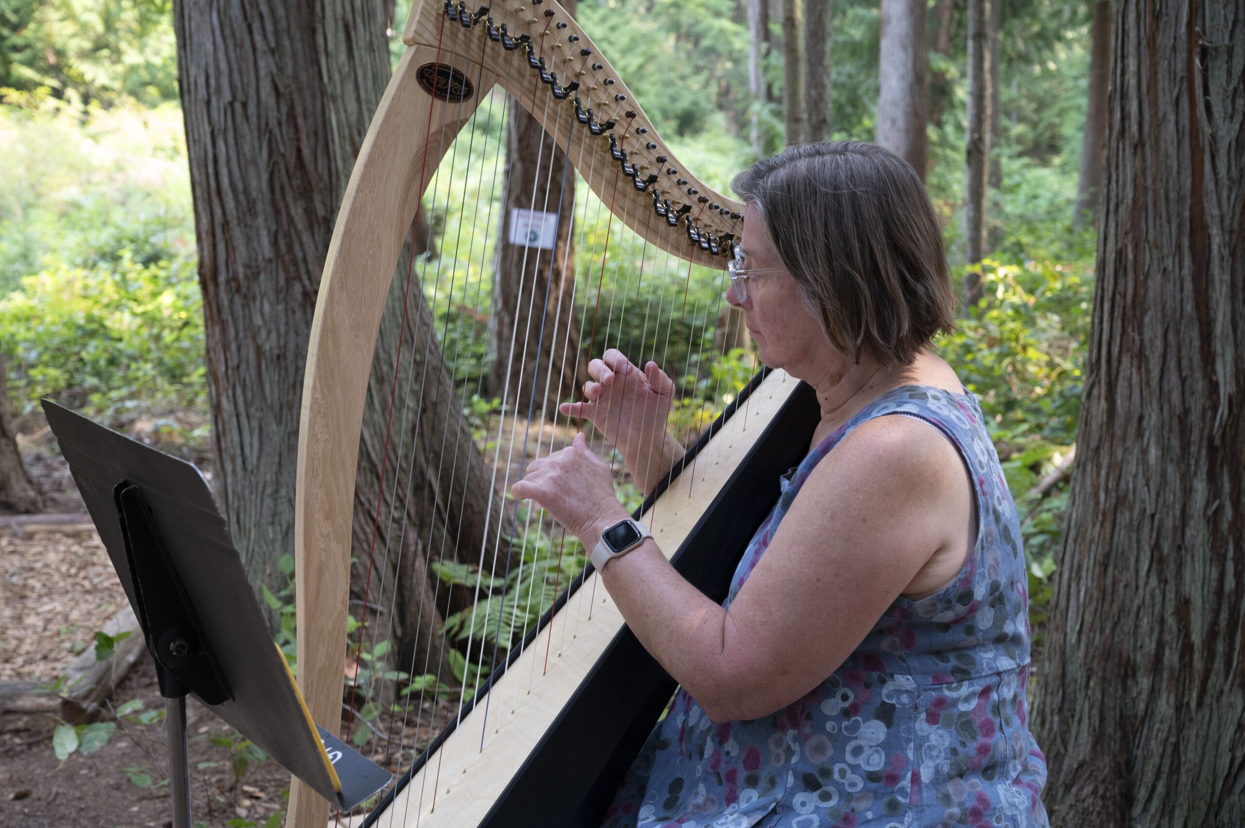 Mary Greenwood playing harp at 2023 Walkalong - photo by Andy Beers