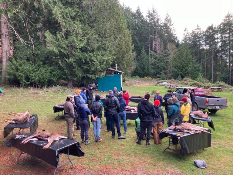 Participants gather around instructors as they learn to butcher ha’put (deer)