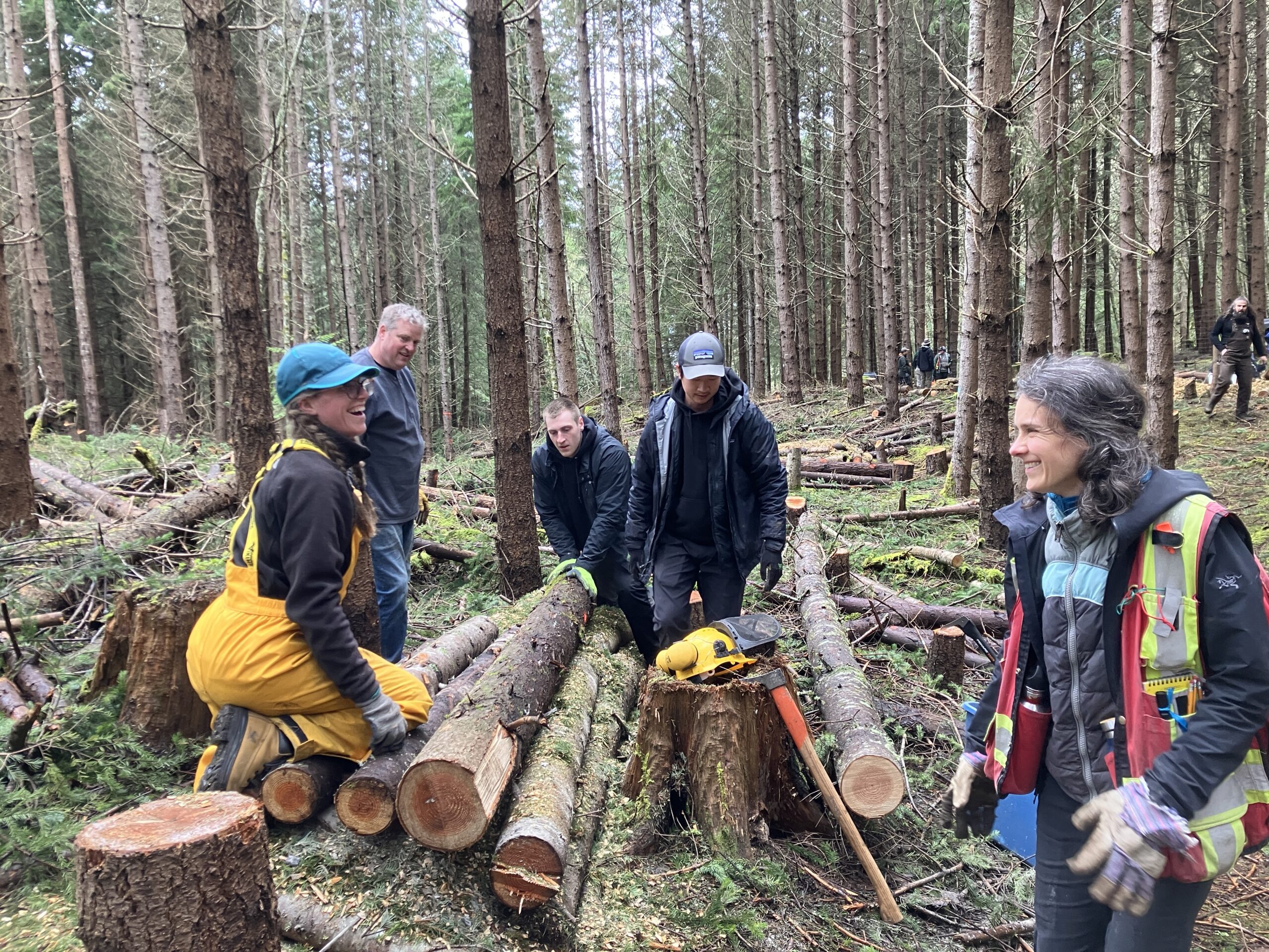 BCIT students restoring Quadra hill