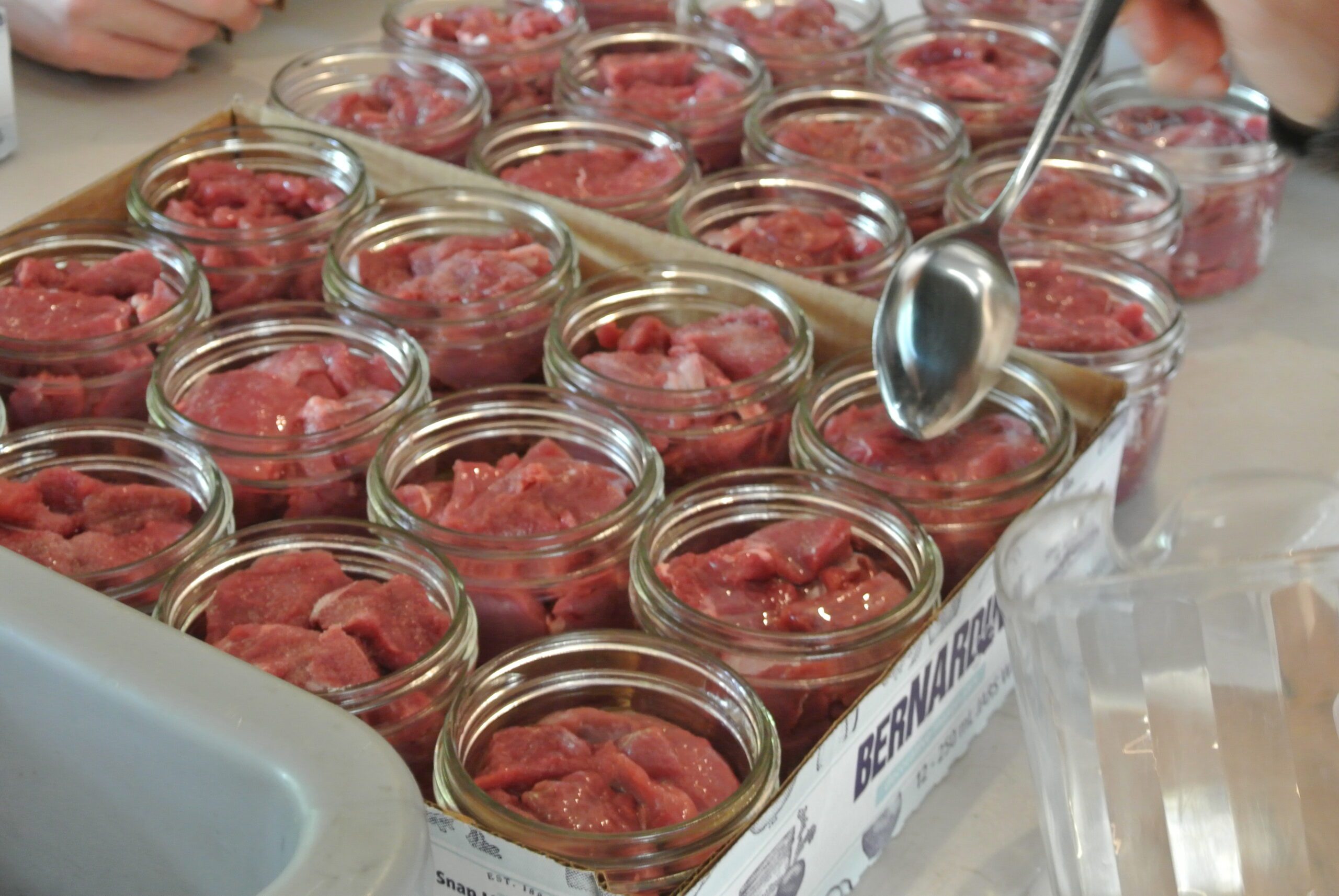 Feed the people workshop