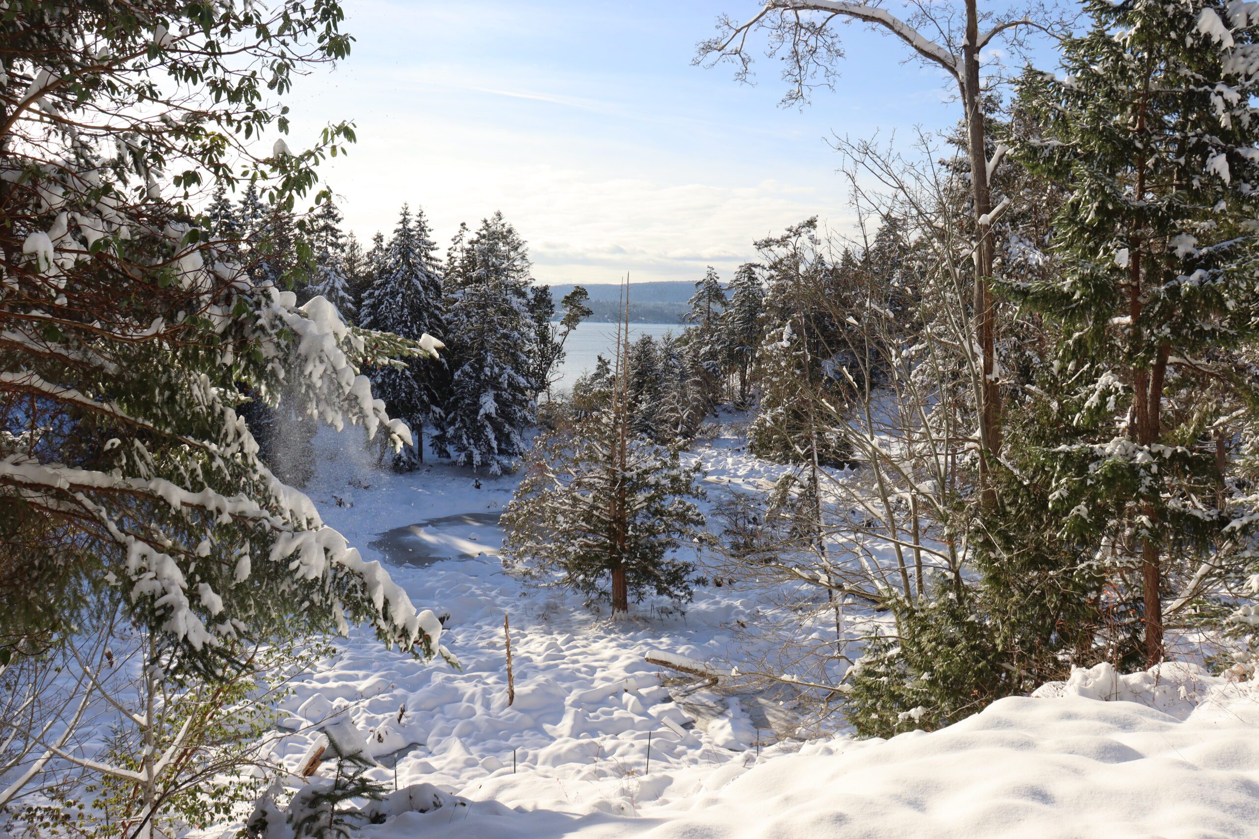 Millard Learning Centre in the snow