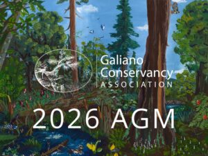 2026
