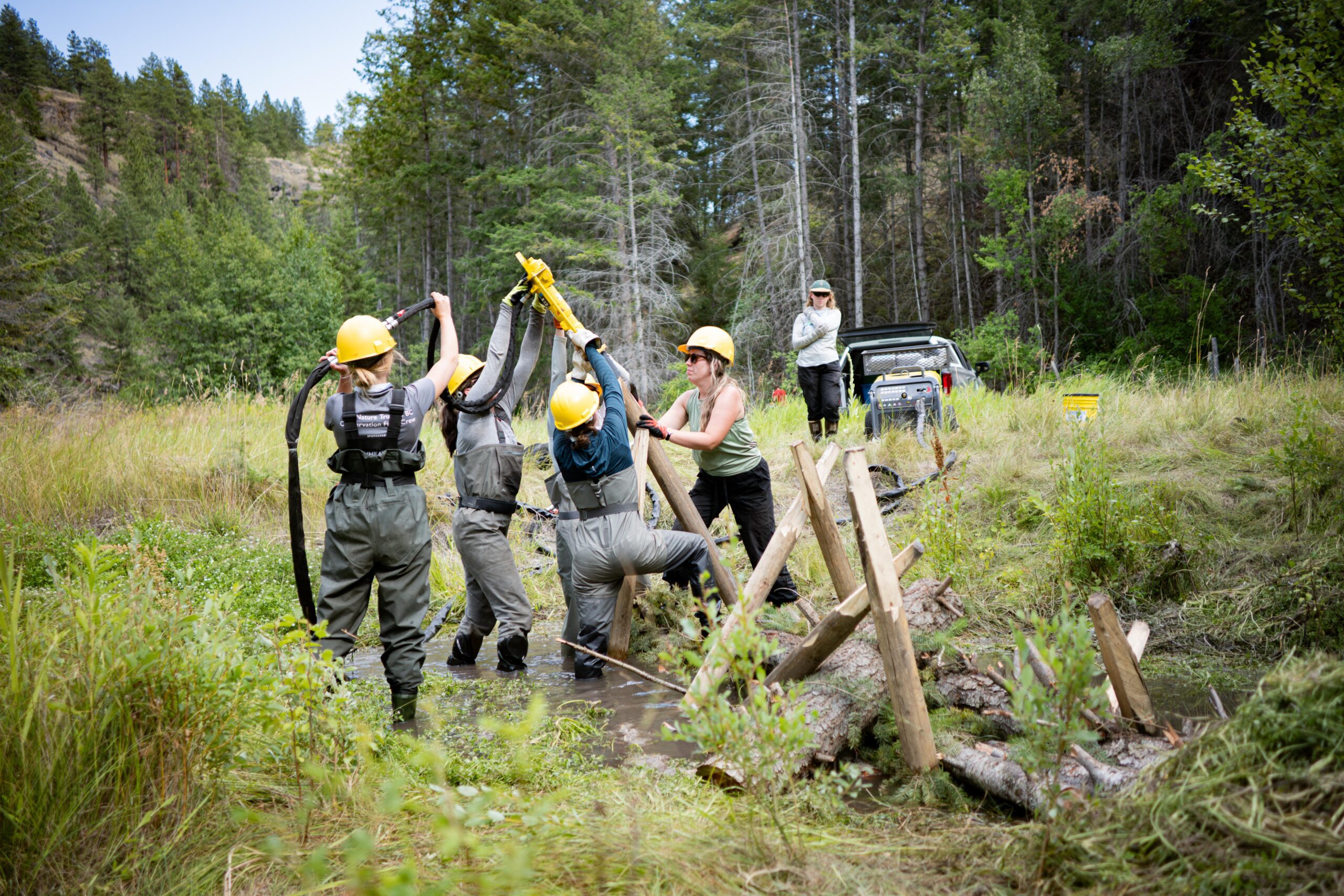 Students Learning about Process-based Ecological Restoration