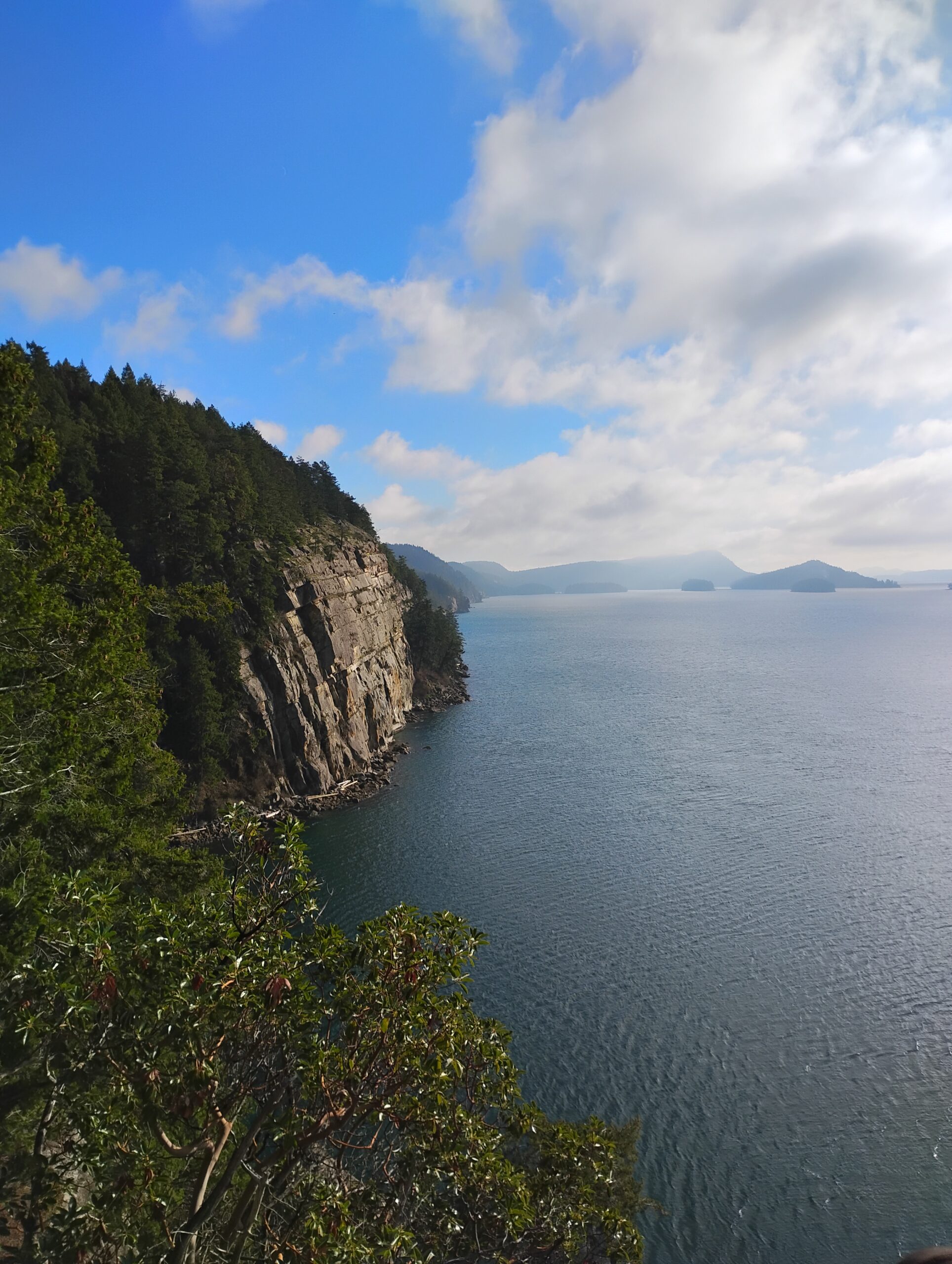 cormorant cliffs by Luthien Teel