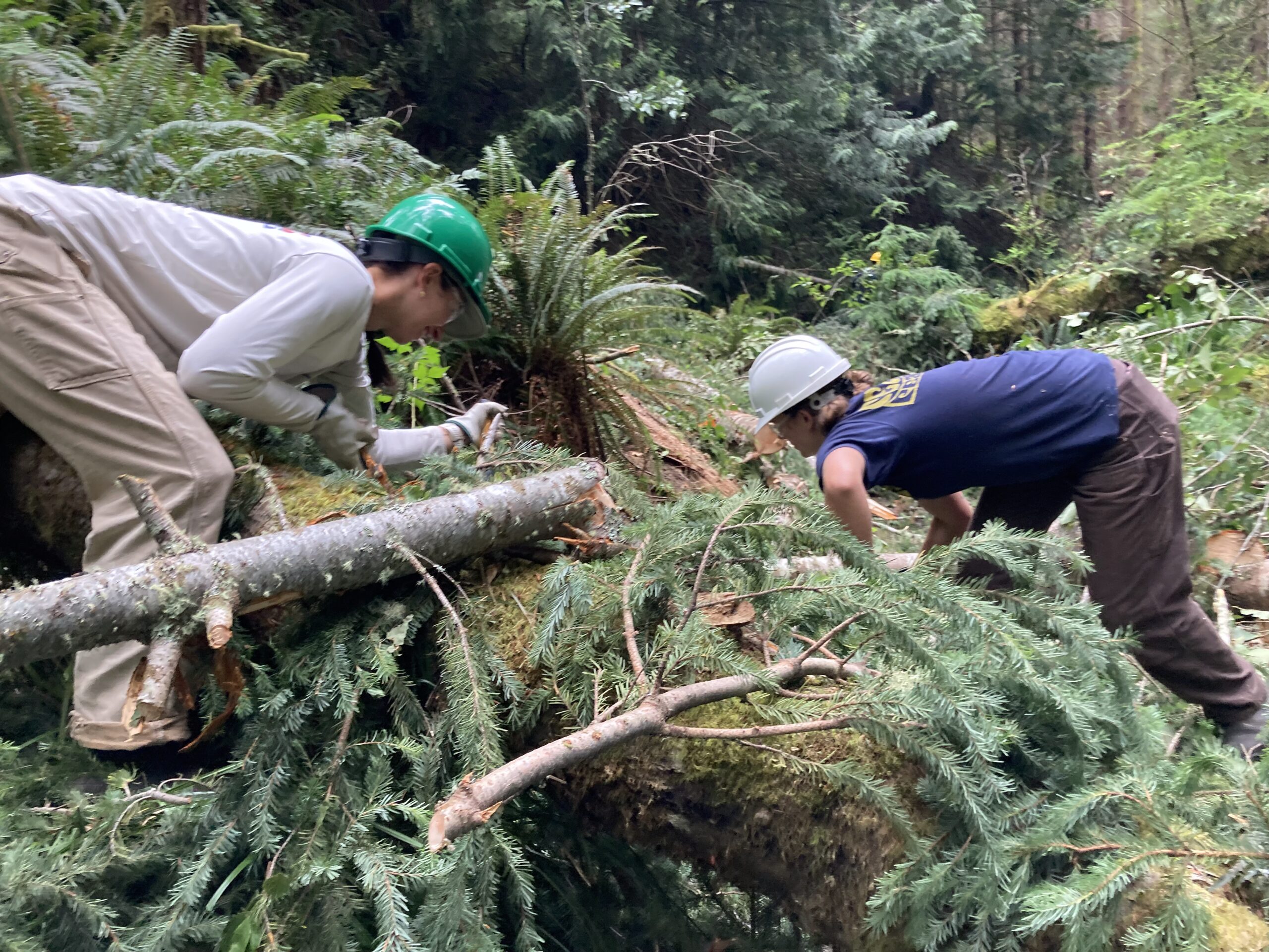 GCA Staff Kamilla and Abby restoring Beaver Creek by Maroussia Finnie