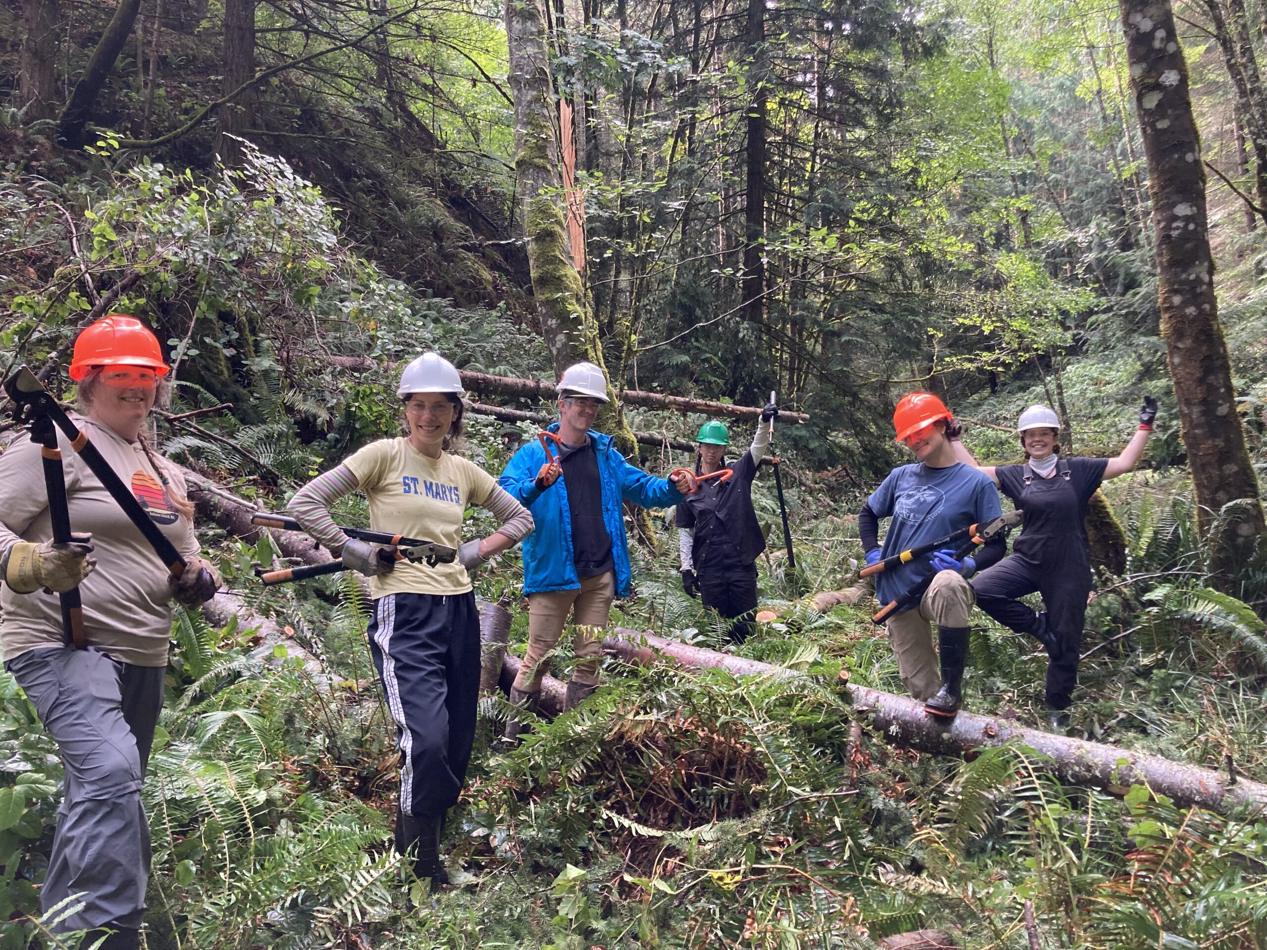 Restoration Team at Beaver Creek by Maroussia