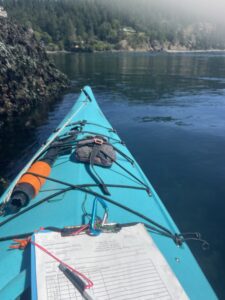 Bull Kelp Monitoring in Kayak by Marina Cousins