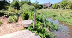 Ferme du Bec Hellouin's stream