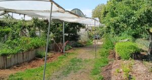 Ferme du Bec Hellouin's self-heating greenhouse